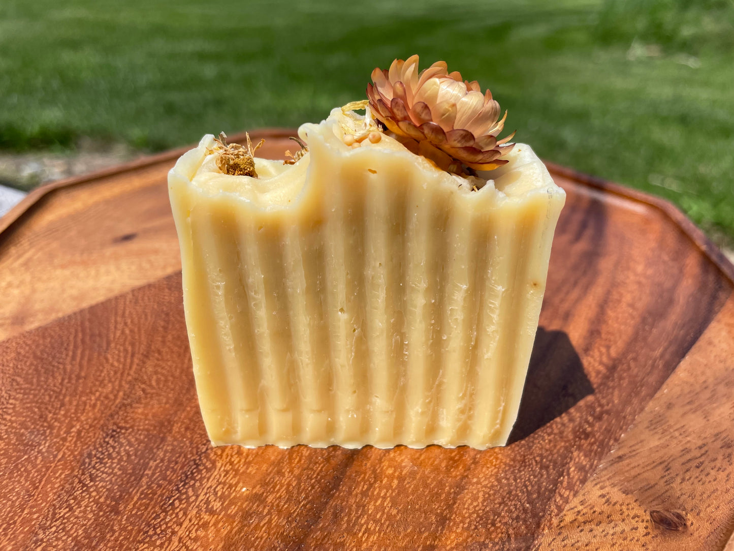 Gentle Golden Dandelion