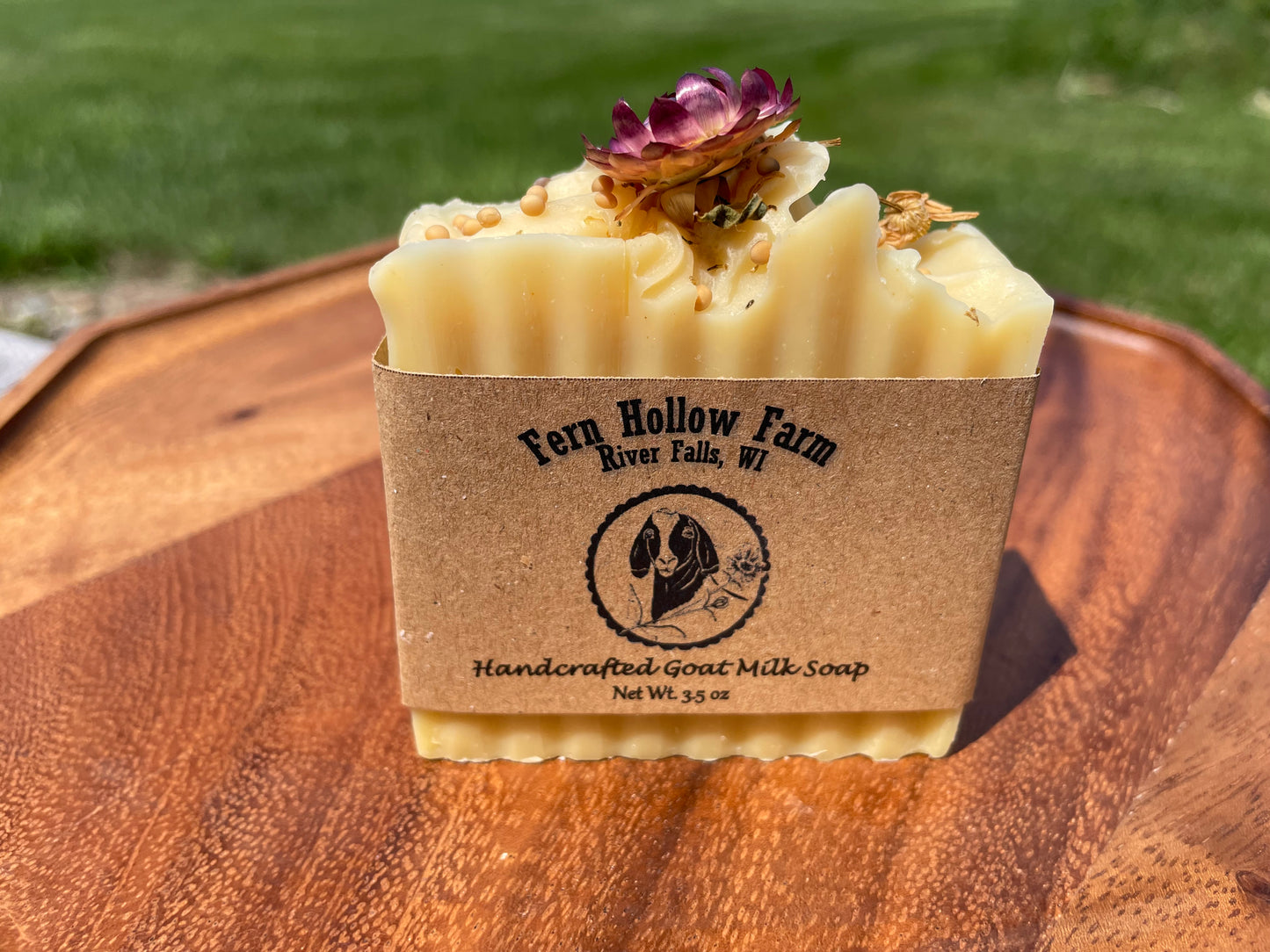 Gentle Golden Dandelion