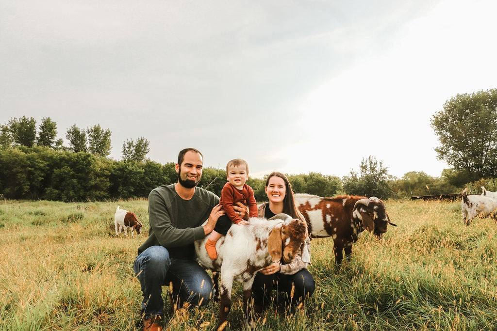 An image of a Caucasian mother, father and toddler son in a field with goats. The pasture has tall grass and the parents are holding the toddler on top of the back of a goat so he can ride it. 