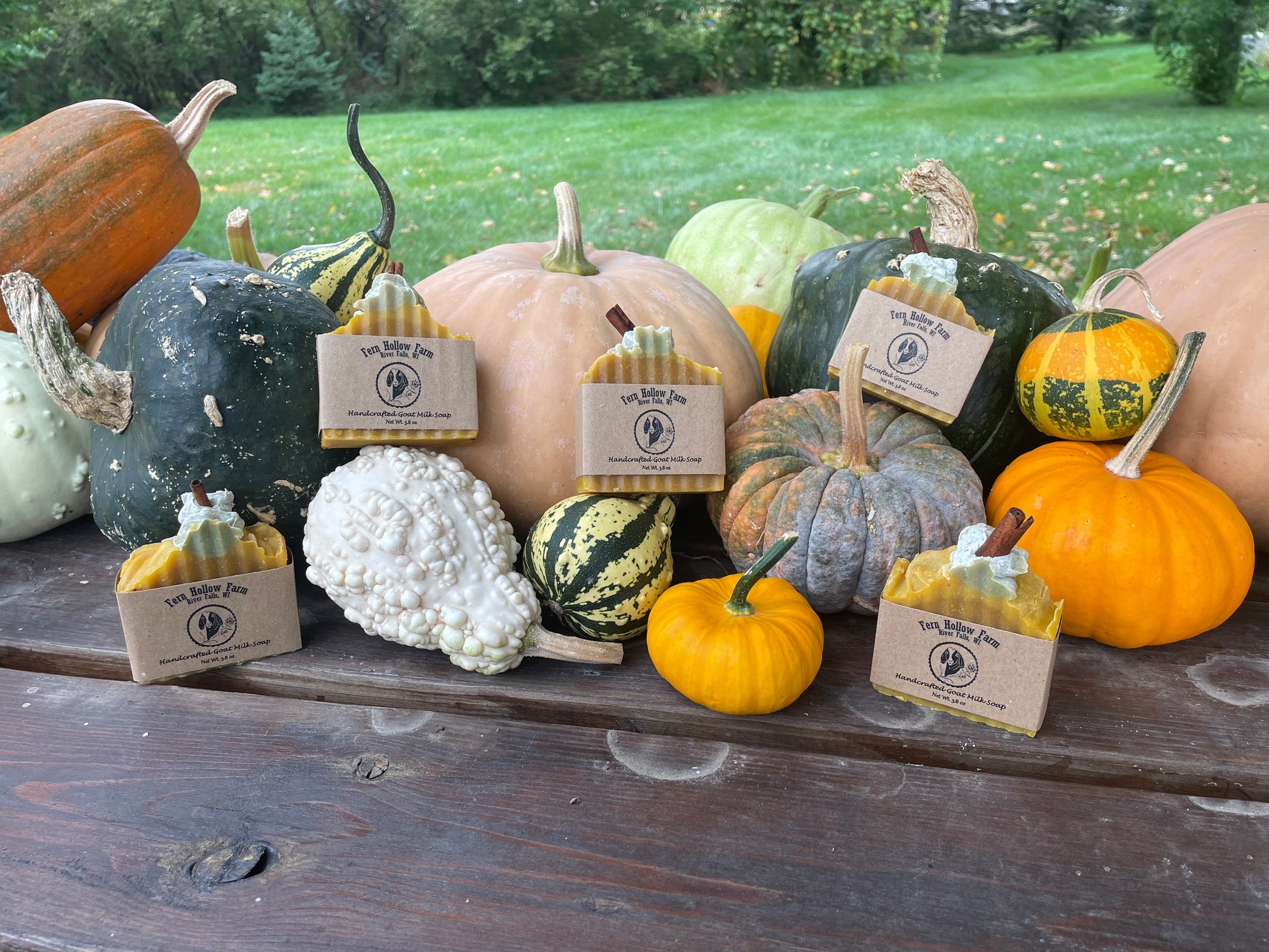 Multiple bars of orange solid soap that are designed to look like a pumpkins scattered over a spread of real pumpkins and gourds. The soap is orange with a bit of green soap on top with a piece of cinnamon stick poking out the top. The setting is outdoors on a wood table. 